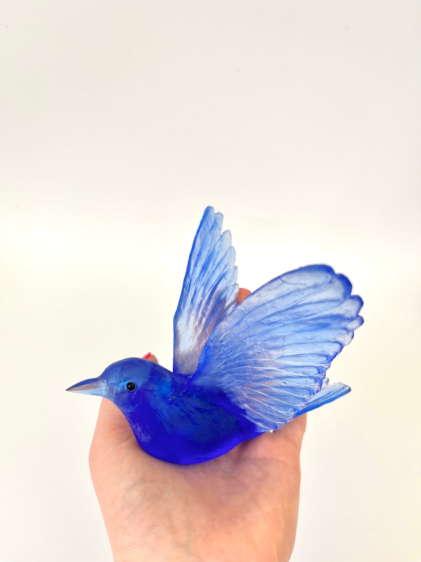 Stitchbird / Hihi - Cobalt Blue