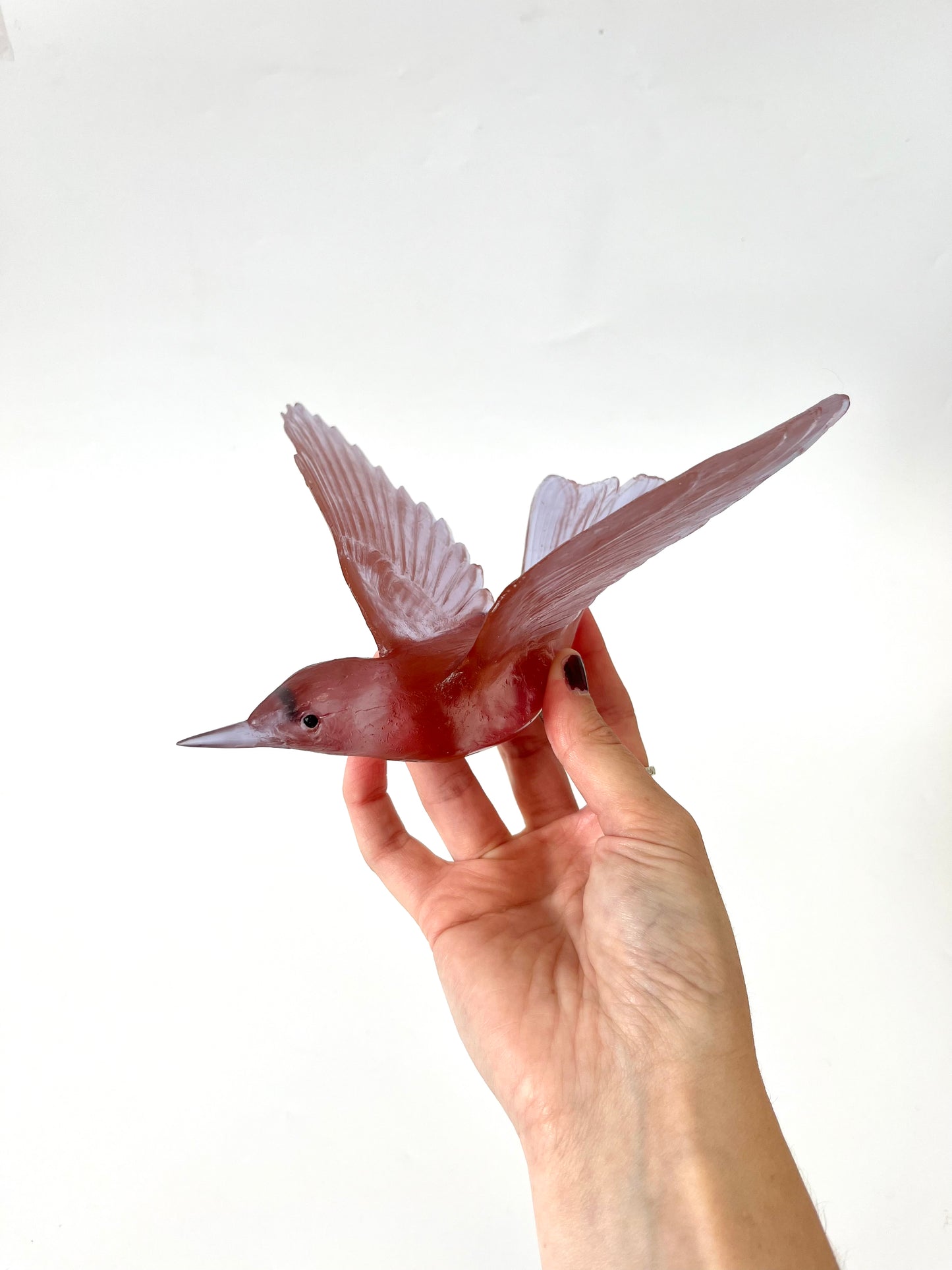 Bellbird / Korimako - Rose