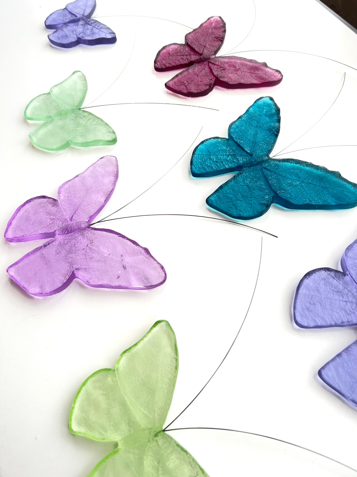 Glass Monarch / Kakahu Butterfly - Hyacinth