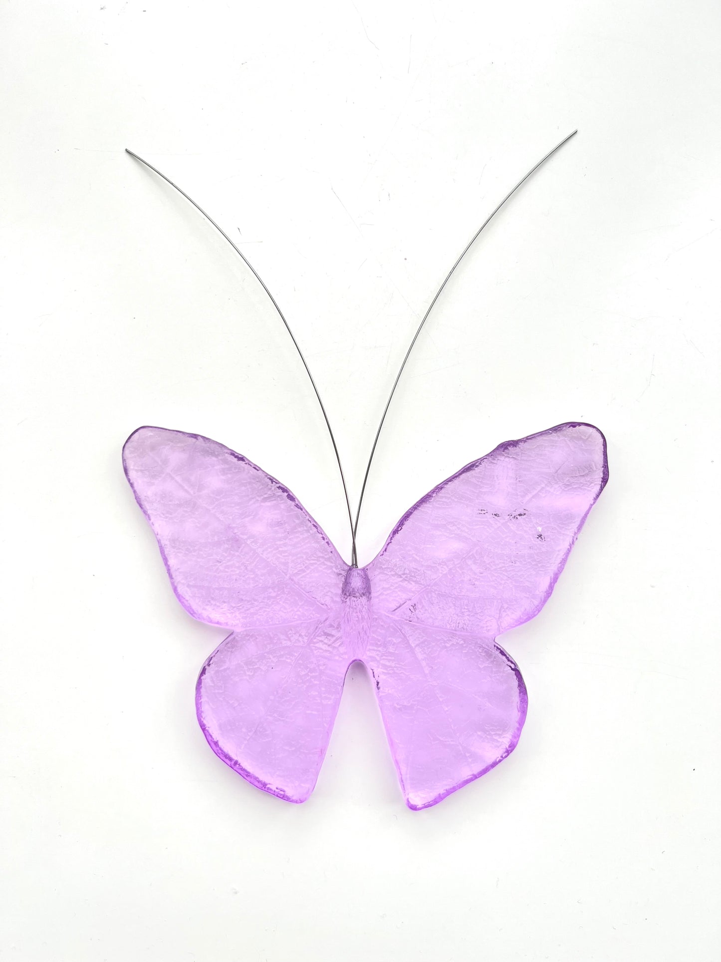 Glass Monarch / Kakahu Butterfly - Fuchsia