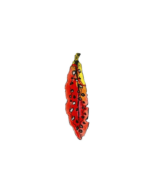 Tiny Pohutukawa Leaf (21499)