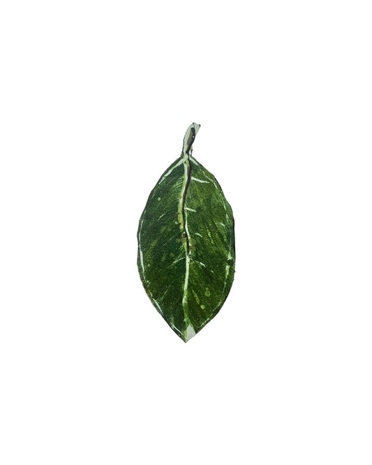 Tiny Pohutukawa Leaf (22005)