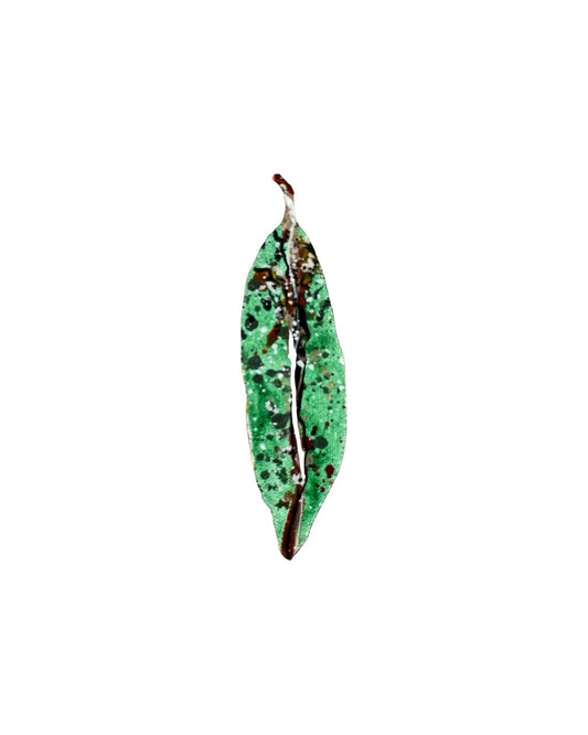 Tiny Pohutukawa Leaf (22066)