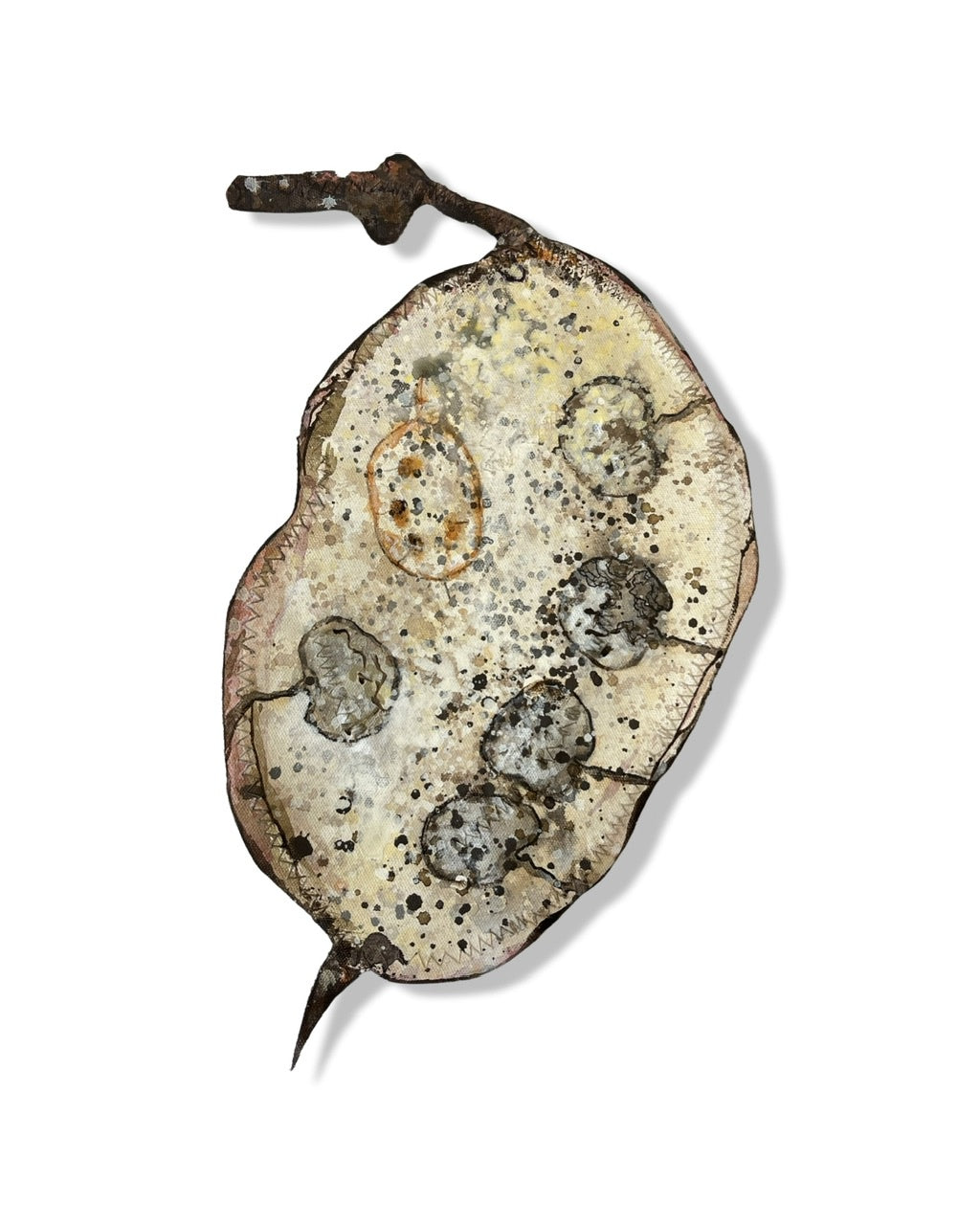 Honesty Seed Pod Sculpture - "Honesty" (23243)